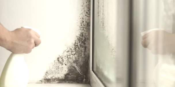 schimmel verwijderen